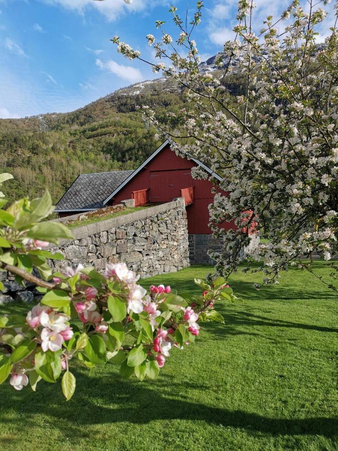 Ostigard 1810 Villa Andalsnes Bagian luar foto